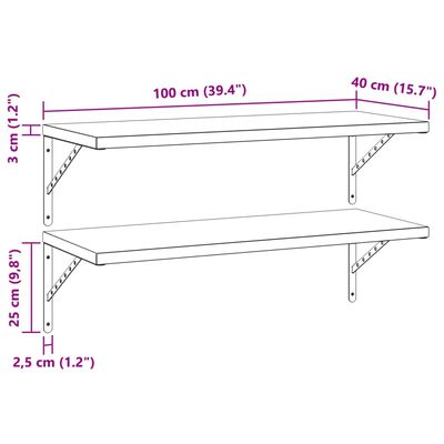 vidaXL Nástěnné police 2 ks 100 x 40 cm stříbrné nerezová ocel