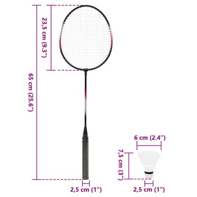 vidaXL Badmintonová sada se 2 raketami, sítí a kufrem 292x30x152 cm