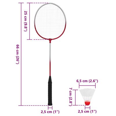 vidaXL Badmintonová sada se 4 raketami a sítí 620 x 151 cm