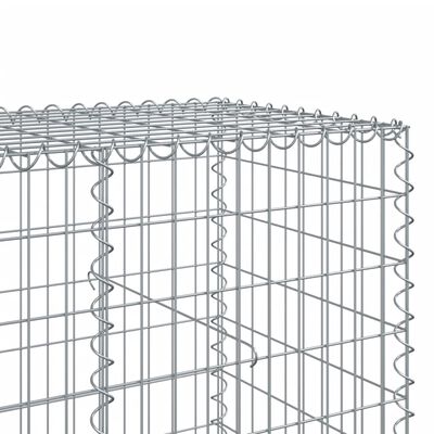 vidaXL Gabionový koš s víkem 200 x 100 x 100 cm pozinkované železo