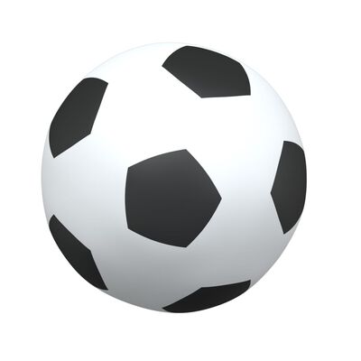 vidaXL Dětská fotbalová branka s míči 2 v 1 bílá 184 x 64 x 124 cm
