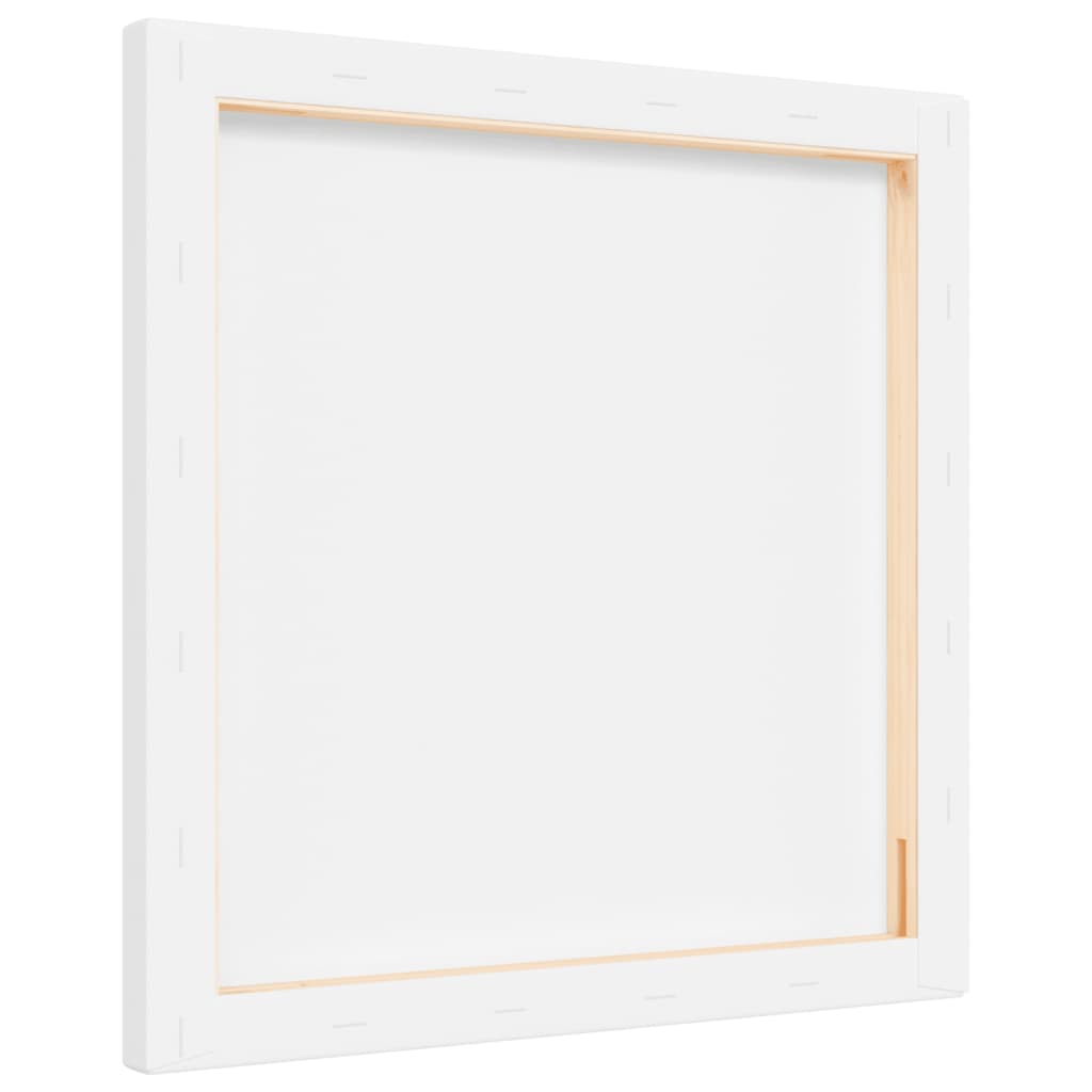 vidaXL Malířská plátna 12 ks bílá textil a masivní borové dřevo
