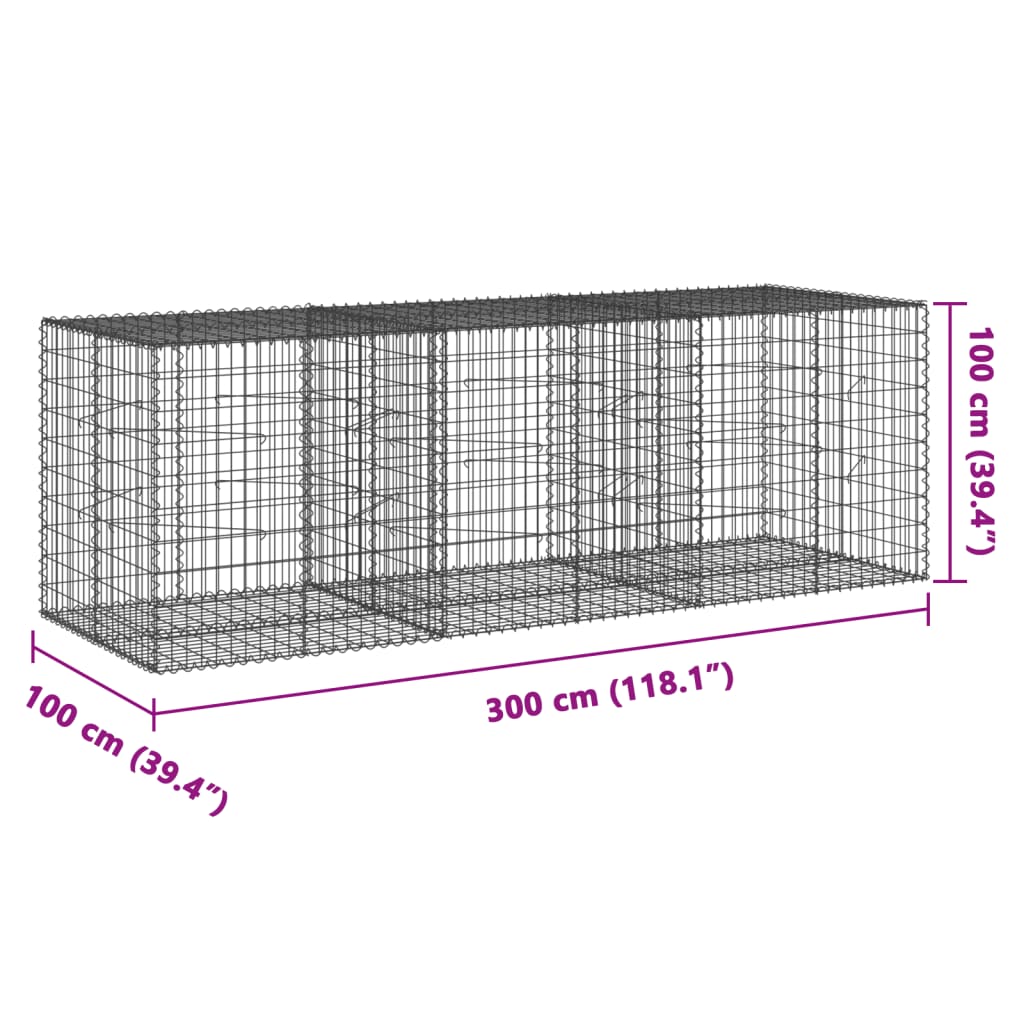 vidaXL Gabionový koš s víkem 300 x 100 x 100 cm pozinkované železo