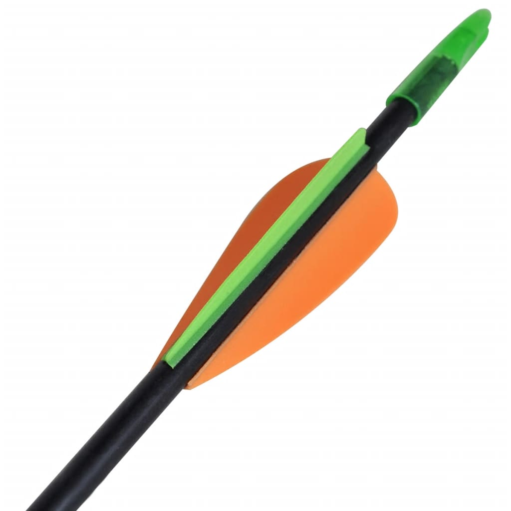 Standardní šípy k recurve luku 30" 0,6 cm sklolaminát 12 ks