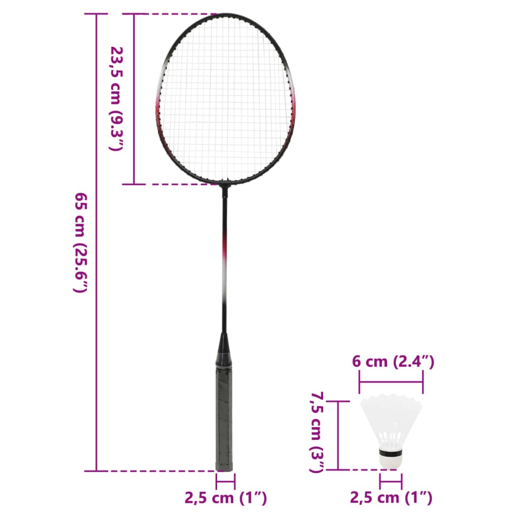 vidaXL Badmintonová sada se 2 raketami, sítí a kufrem 292x30x152 cm