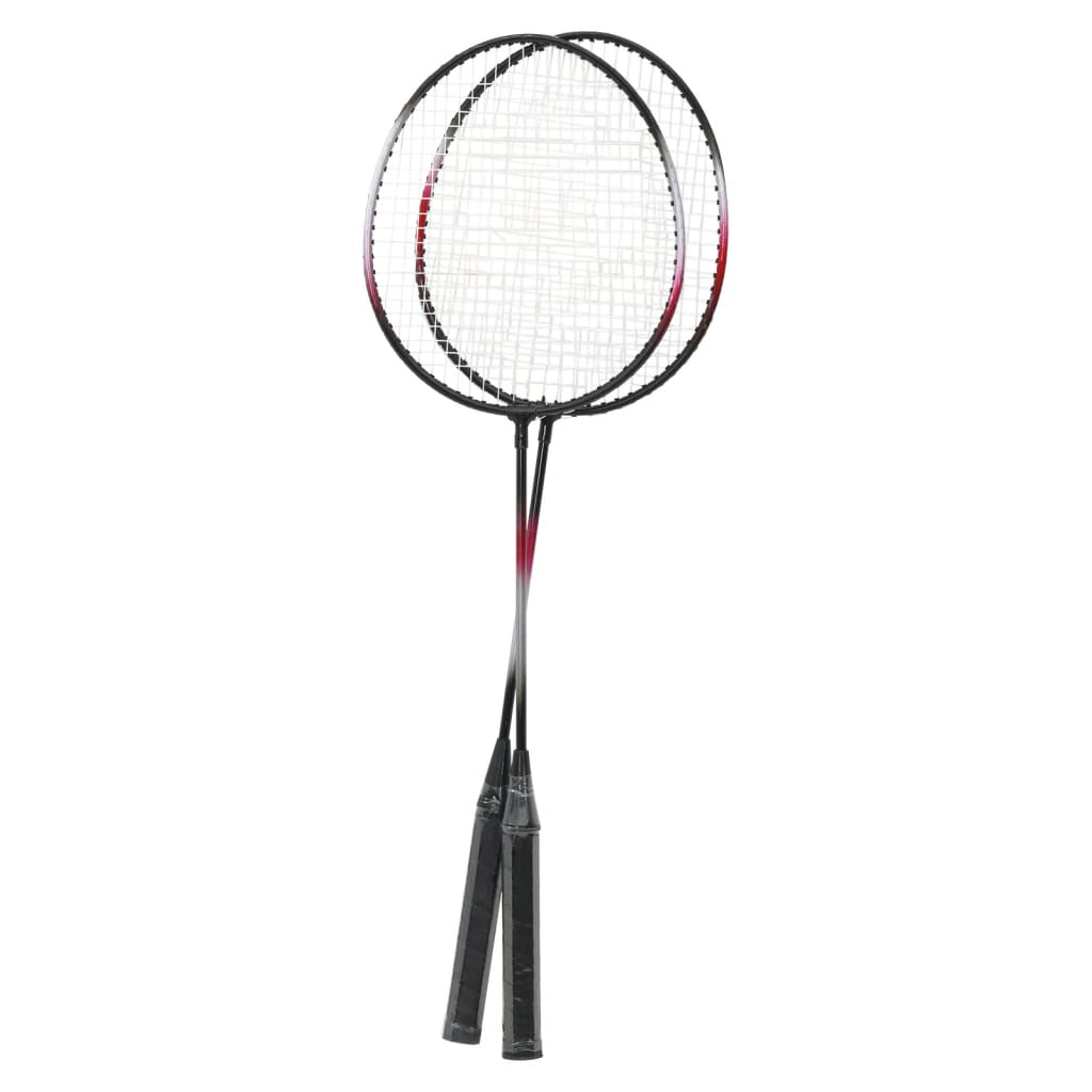 vidaXL Badmintonová sada se 2 raketami, sítí a kufrem 292x30x152 cm