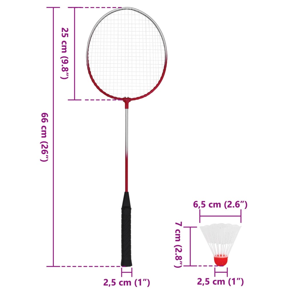 vidaXL Badmintonová sada se 4 raketami a sítí 620 x 151 cm