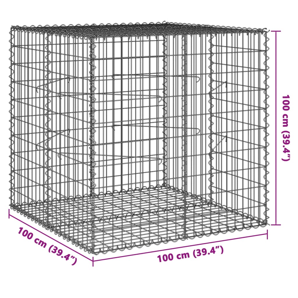 vidaXL Gabionový koš s víkem 100 x 100 x 100 cm pozinkované železo