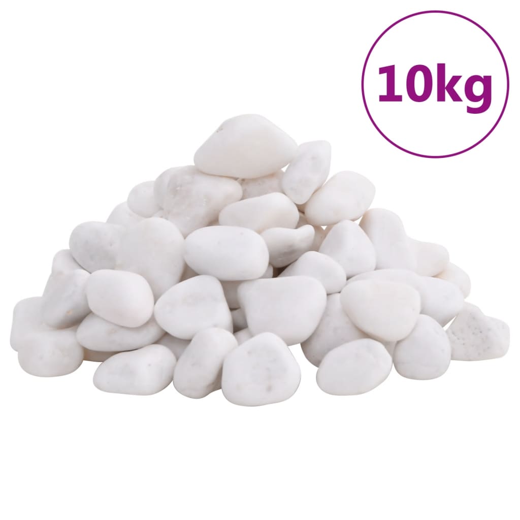 vidaXL Leštěné oblázky 10 kg bílé 2–5 cm